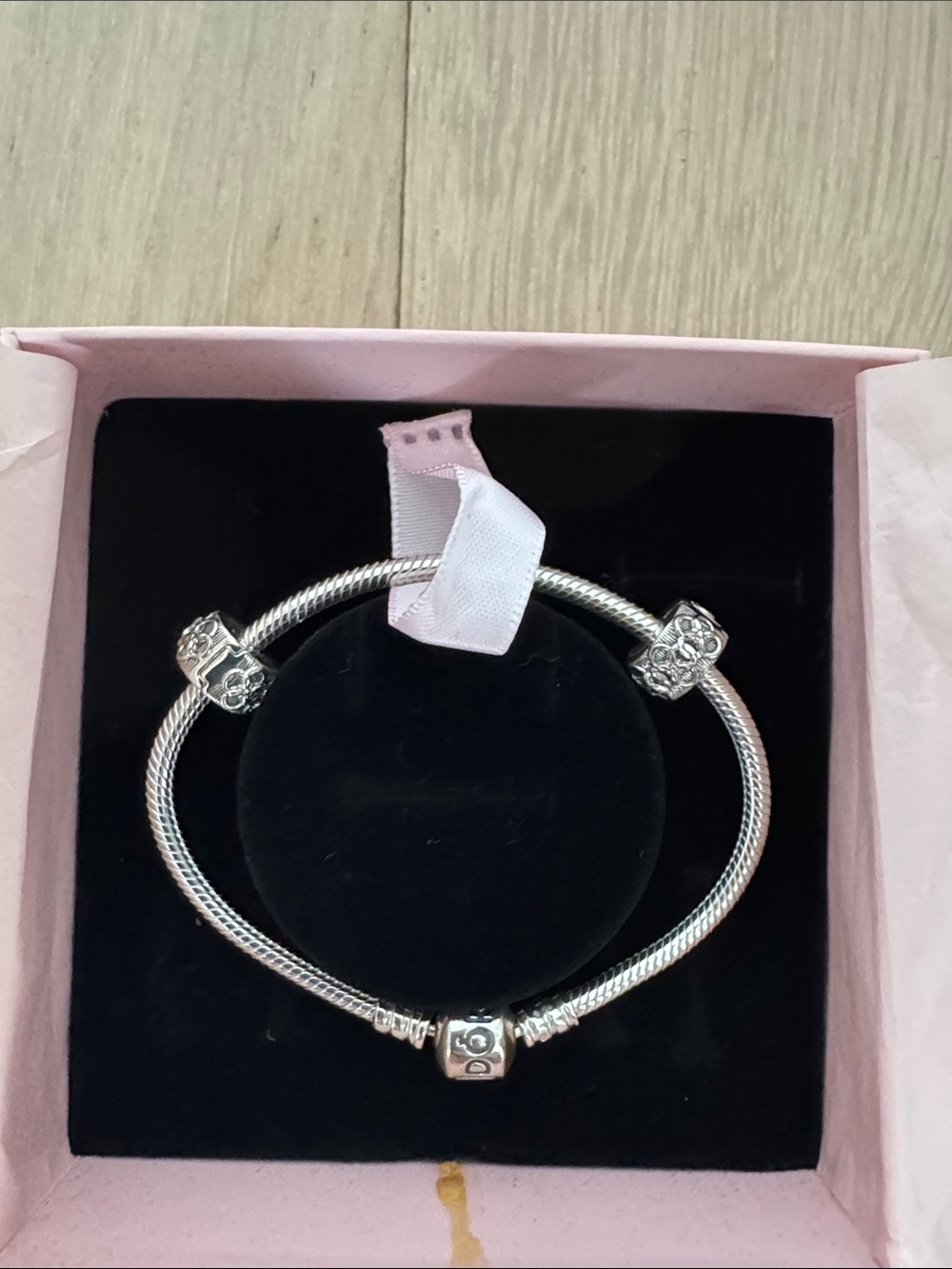 NWT Pandora bracelet